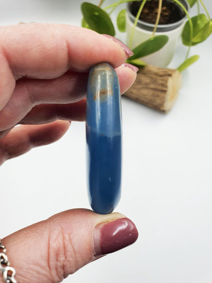 Blue Onyx Palm
