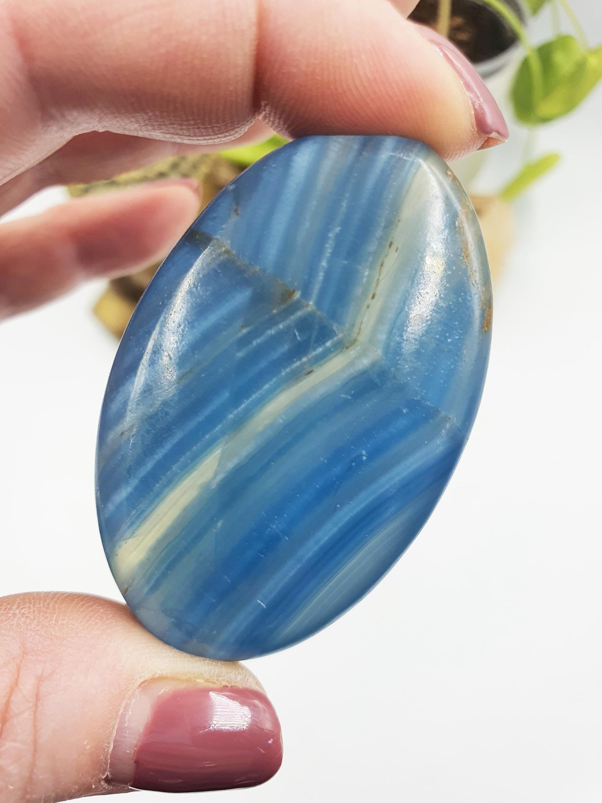 Blue Onyx Palm