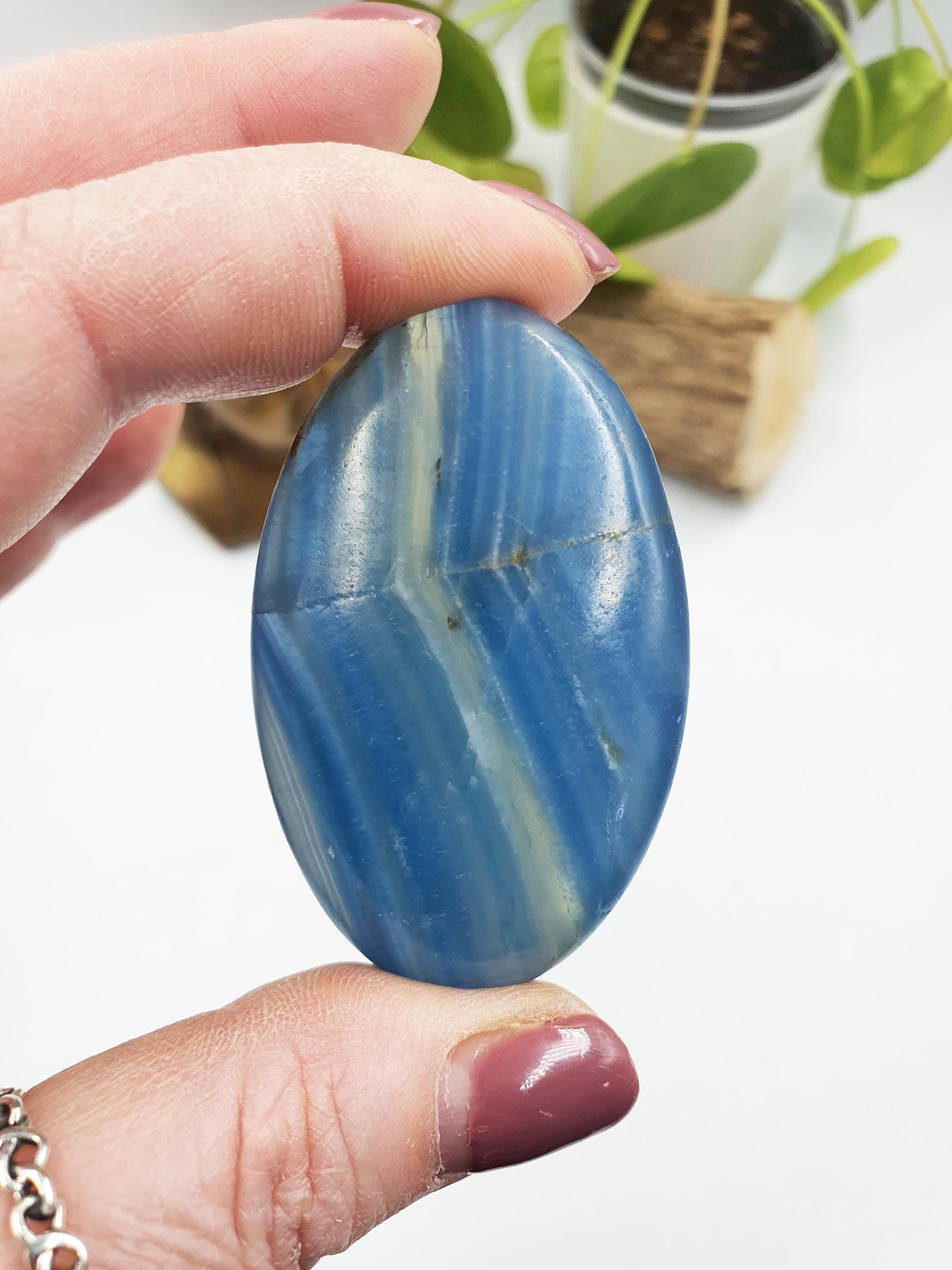 Blue Onyx Palm
