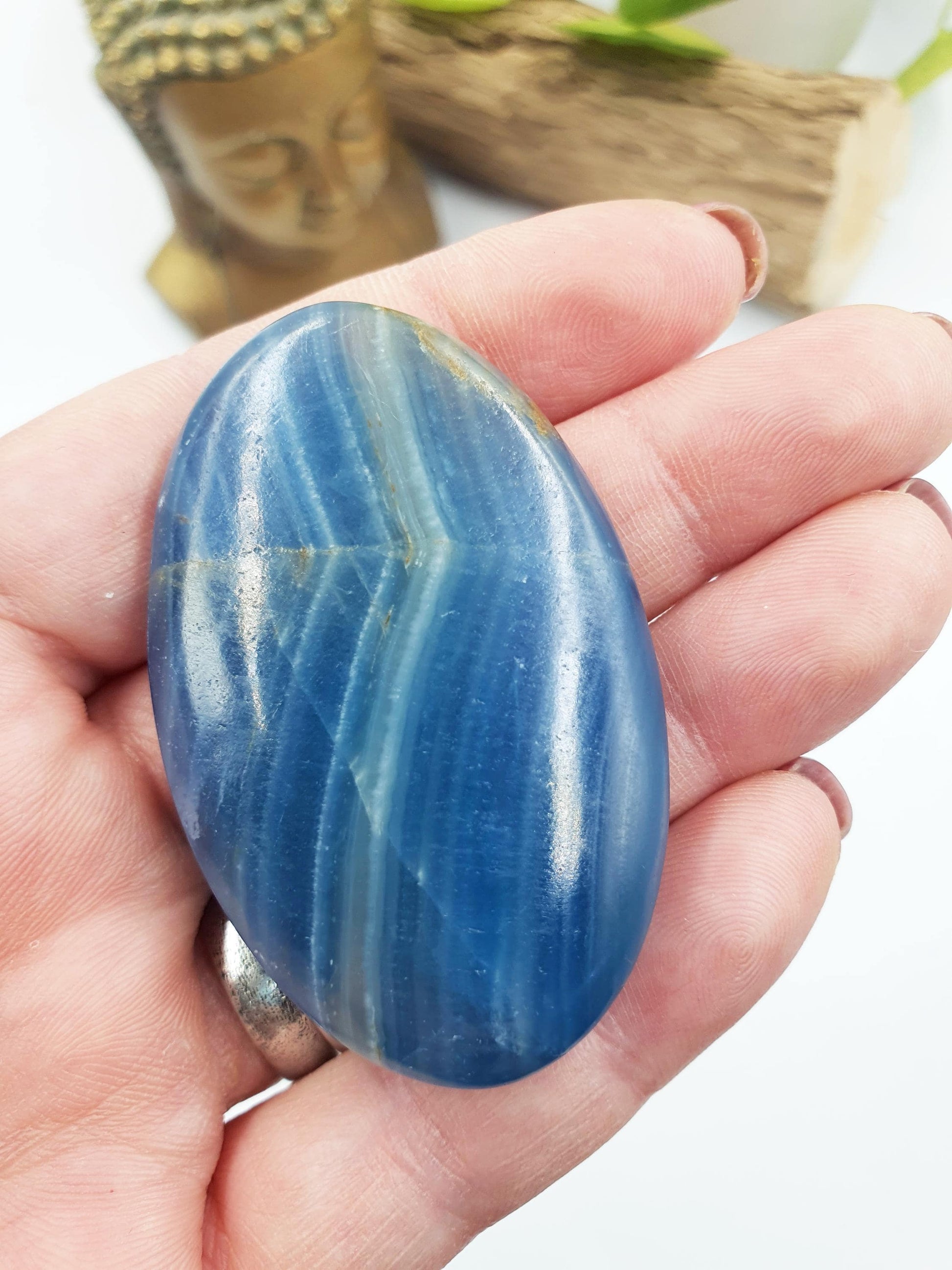 Blue Onyx Palm
