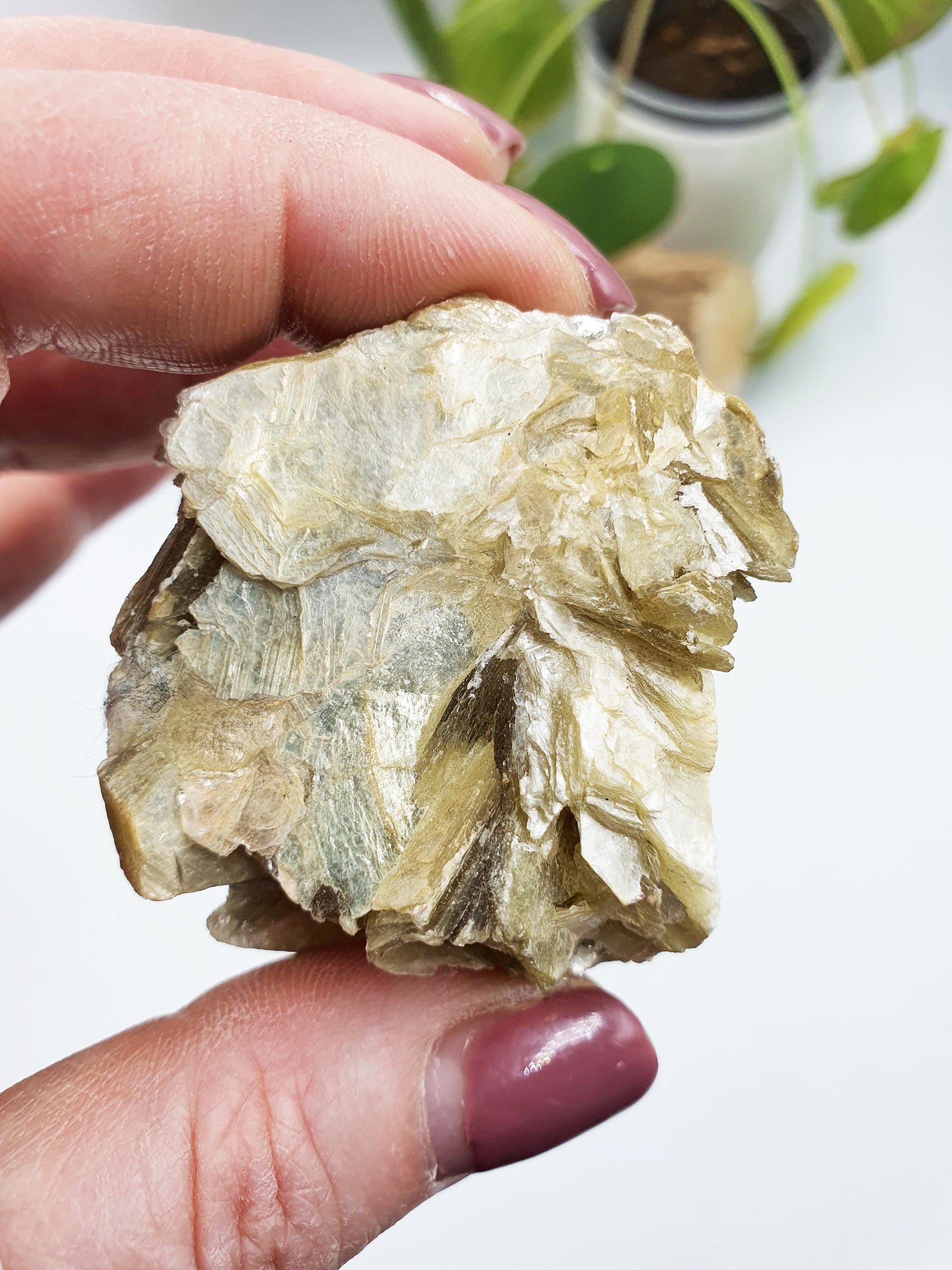 Raw Golden Mica Specimen