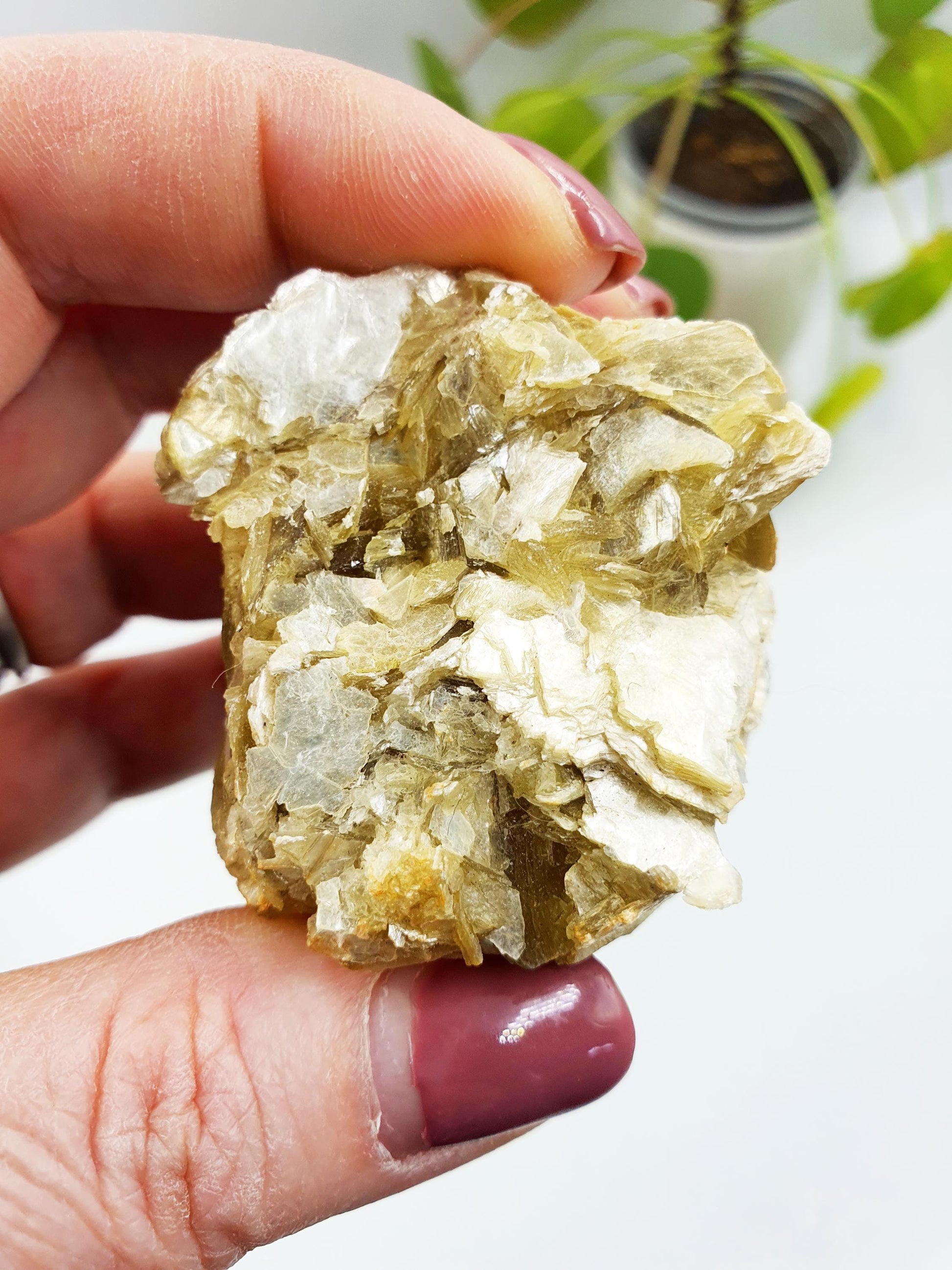 Raw Golden Mica Specimen