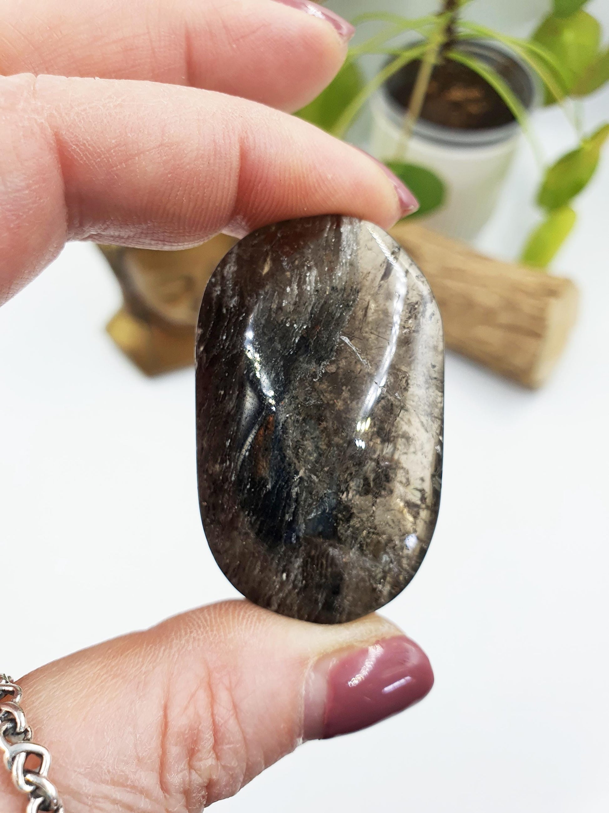 High Grade Sparkly Thousand Layer Palm - Thoudand Layer (Lodolite) Palm Stone