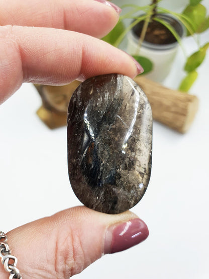 High Grade Sparkly Thousand Layer Palm - Thoudand Layer (Lodolite) Palm Stone
