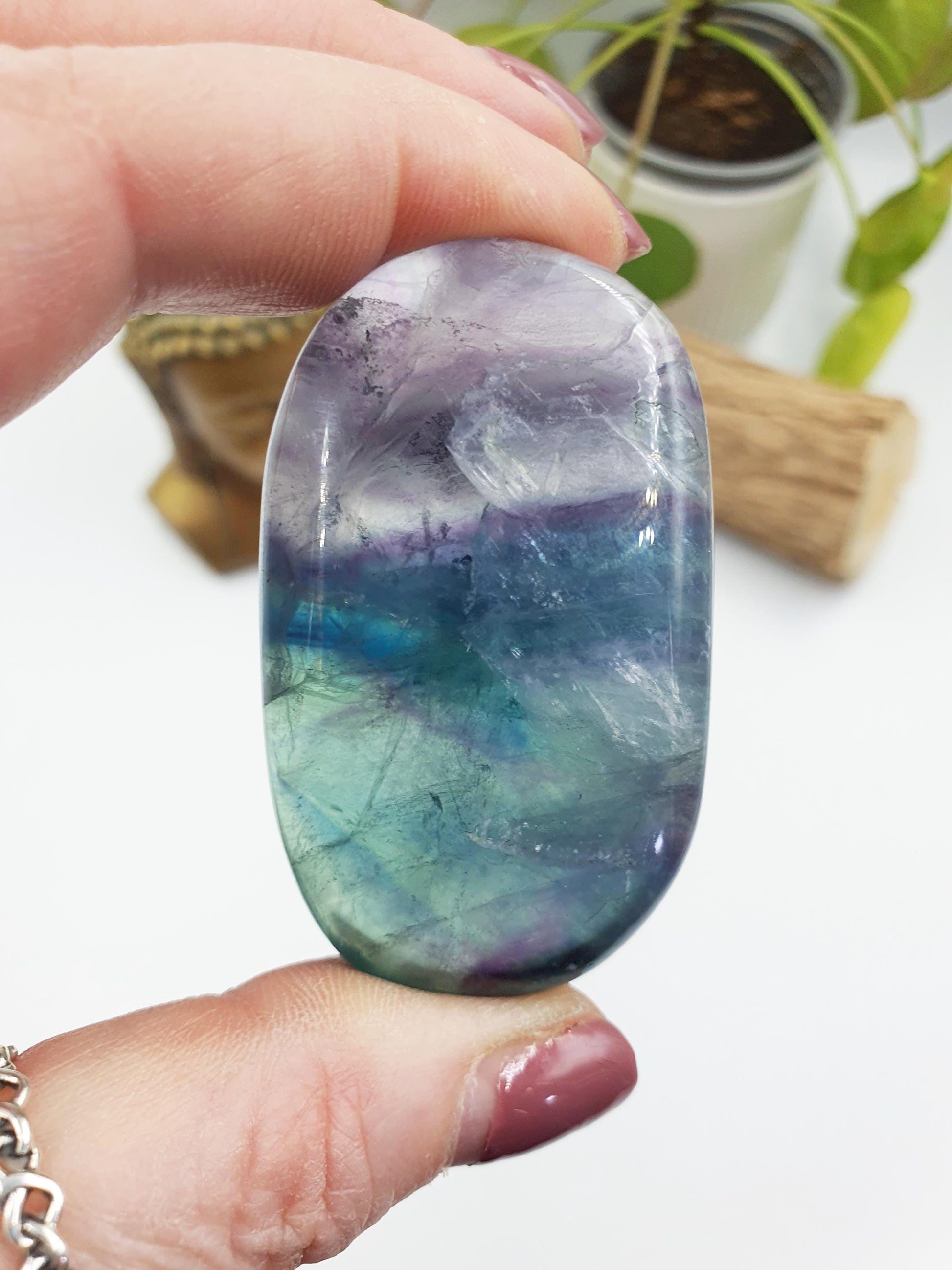 Flashy Fluorite Palm