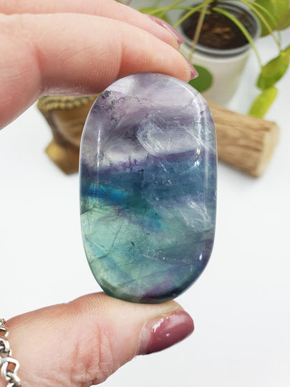 Flashy Fluorite Palm