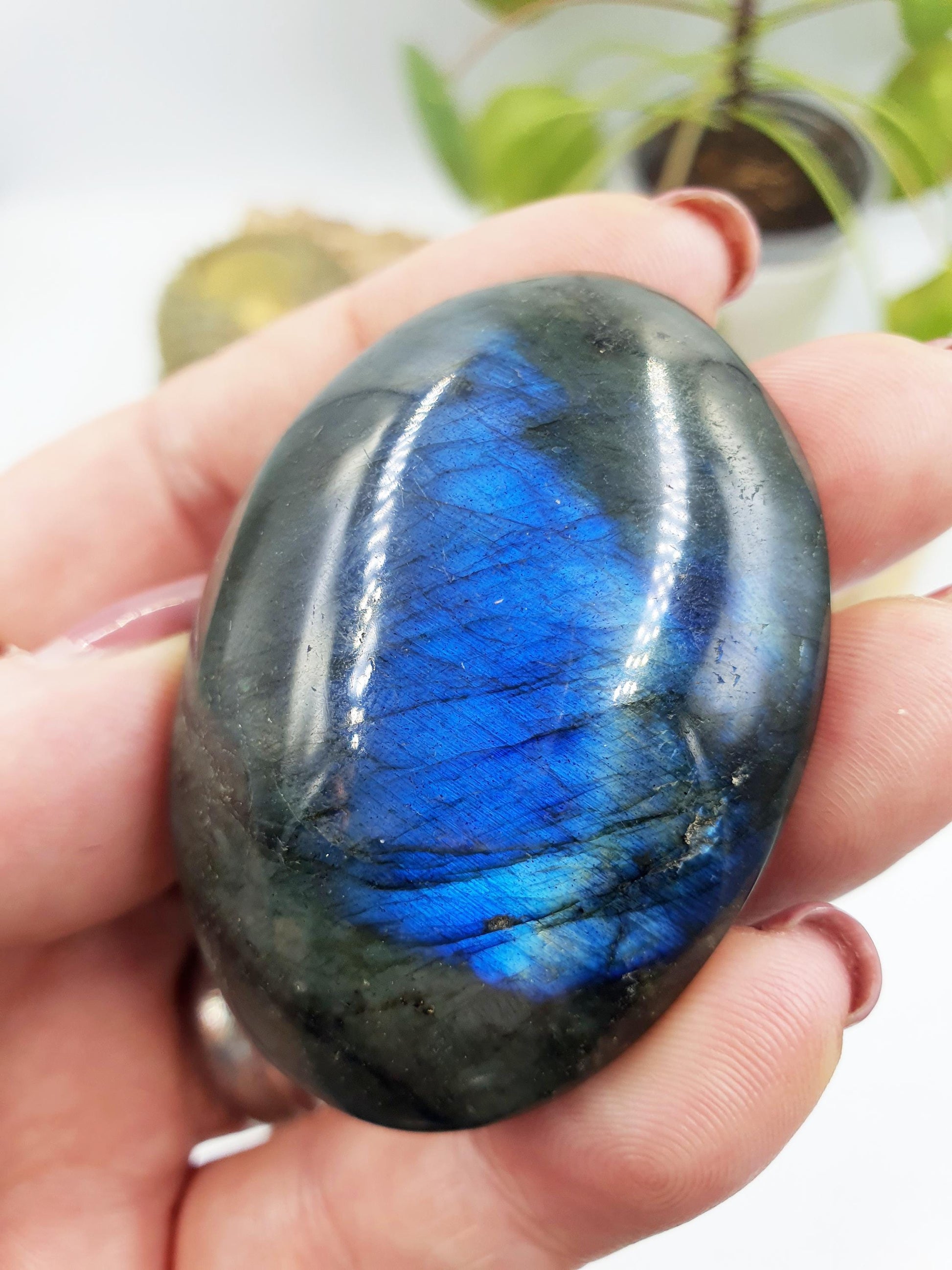 Flashy Labradorite Crystal Palm