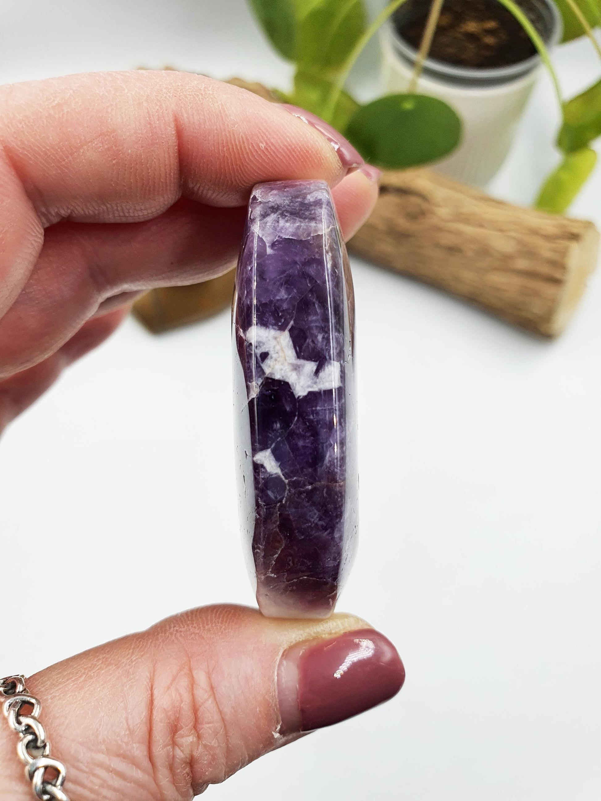 Dream Amethyst Palm