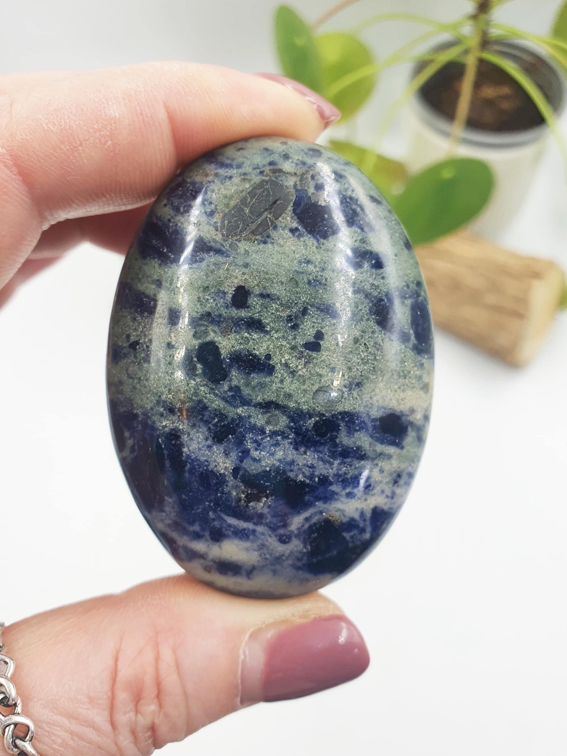 Sodalite Palm