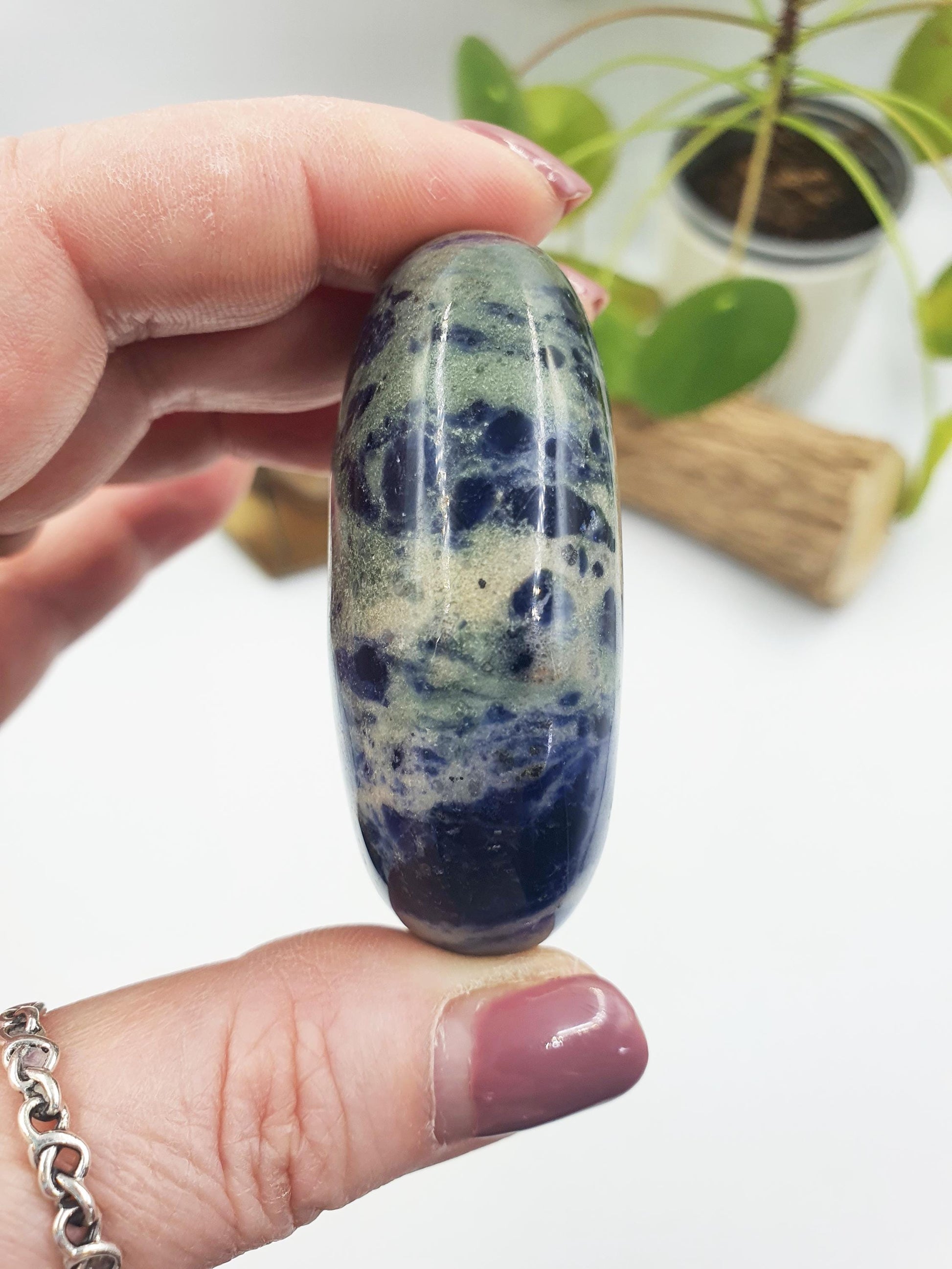 Sodalite Palm
