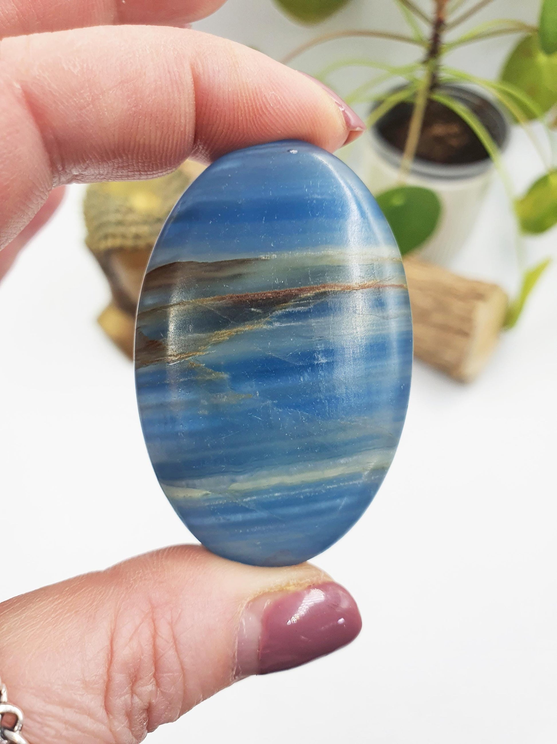 Blue Onyx Palm