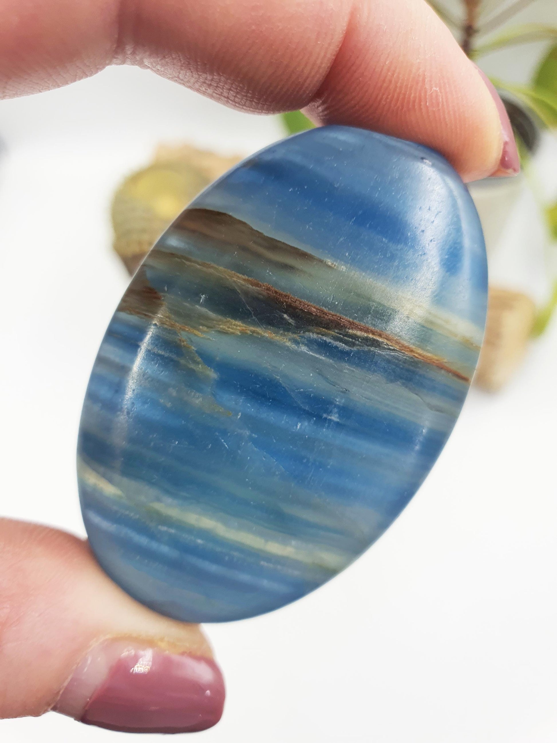 Blue Onyx Palm