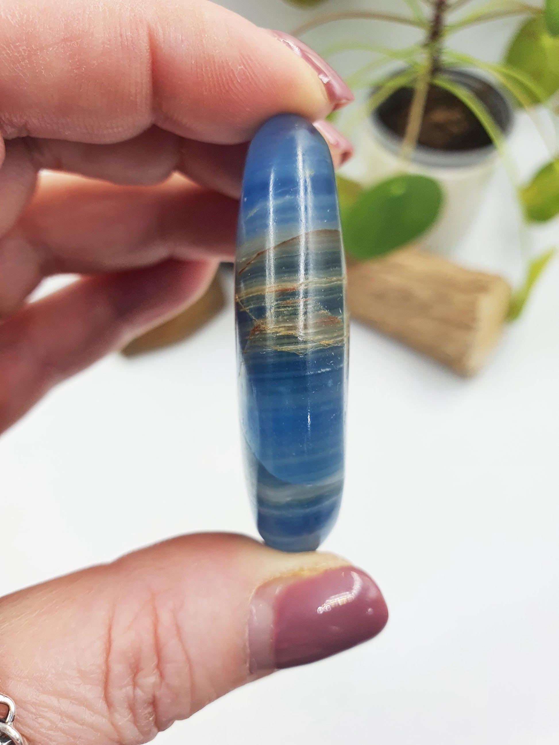 Blue Onyx Palm