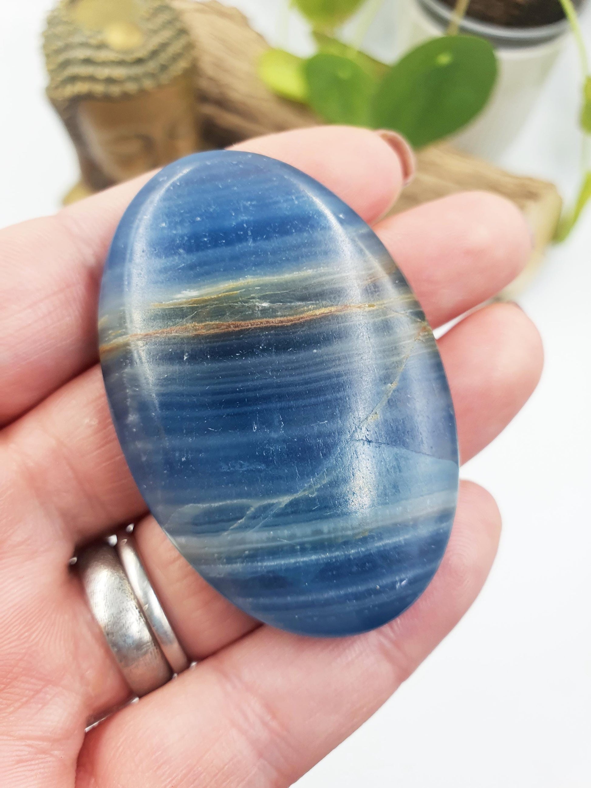 Blue Onyx Palm