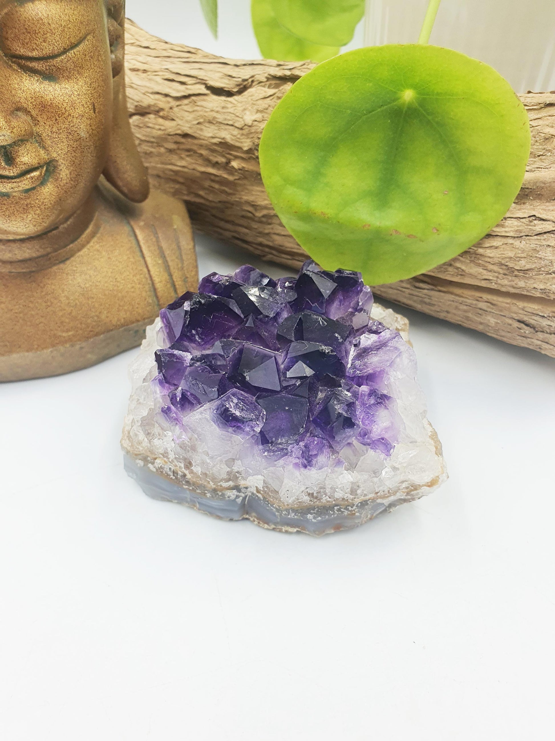 Stunning Amethyst Crystal Cluster / Raw Amethyst Specimen / Amethyst Base Cut / Rough Amethyst Cluster - 330g