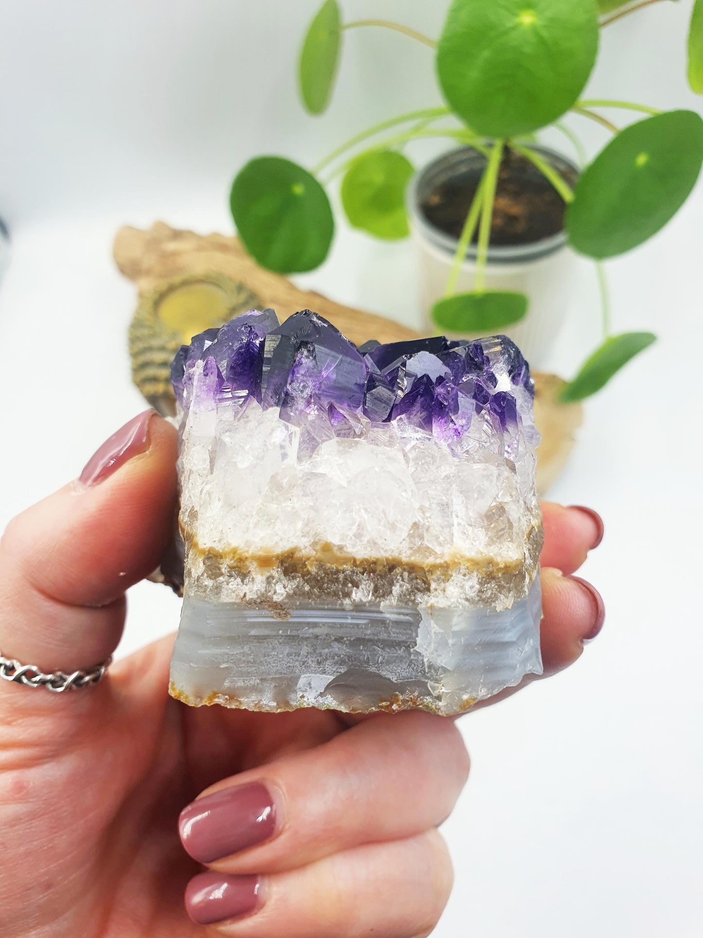 Amethyst Crystal Cluster