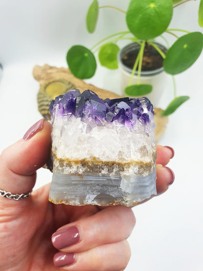 Amethyst Crystal Cluster