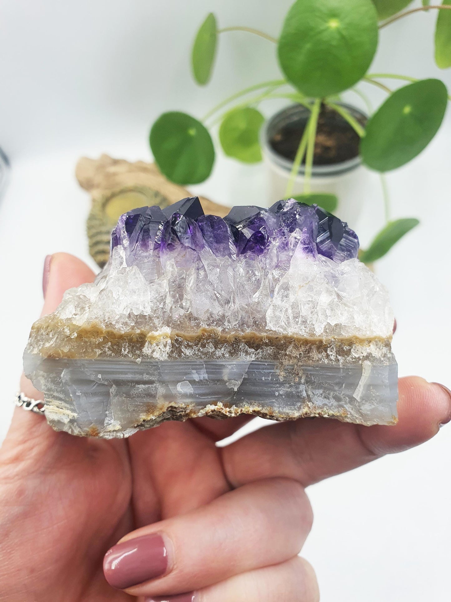 Amethyst Crystal Cluster