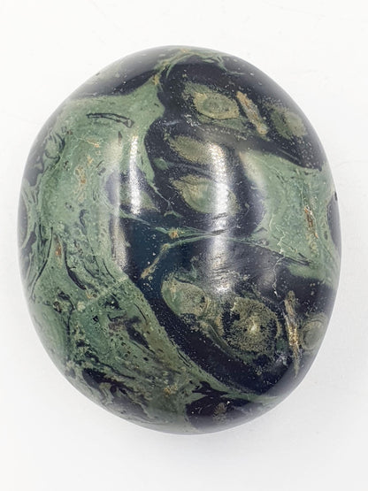 Kambaba Jasper Palm