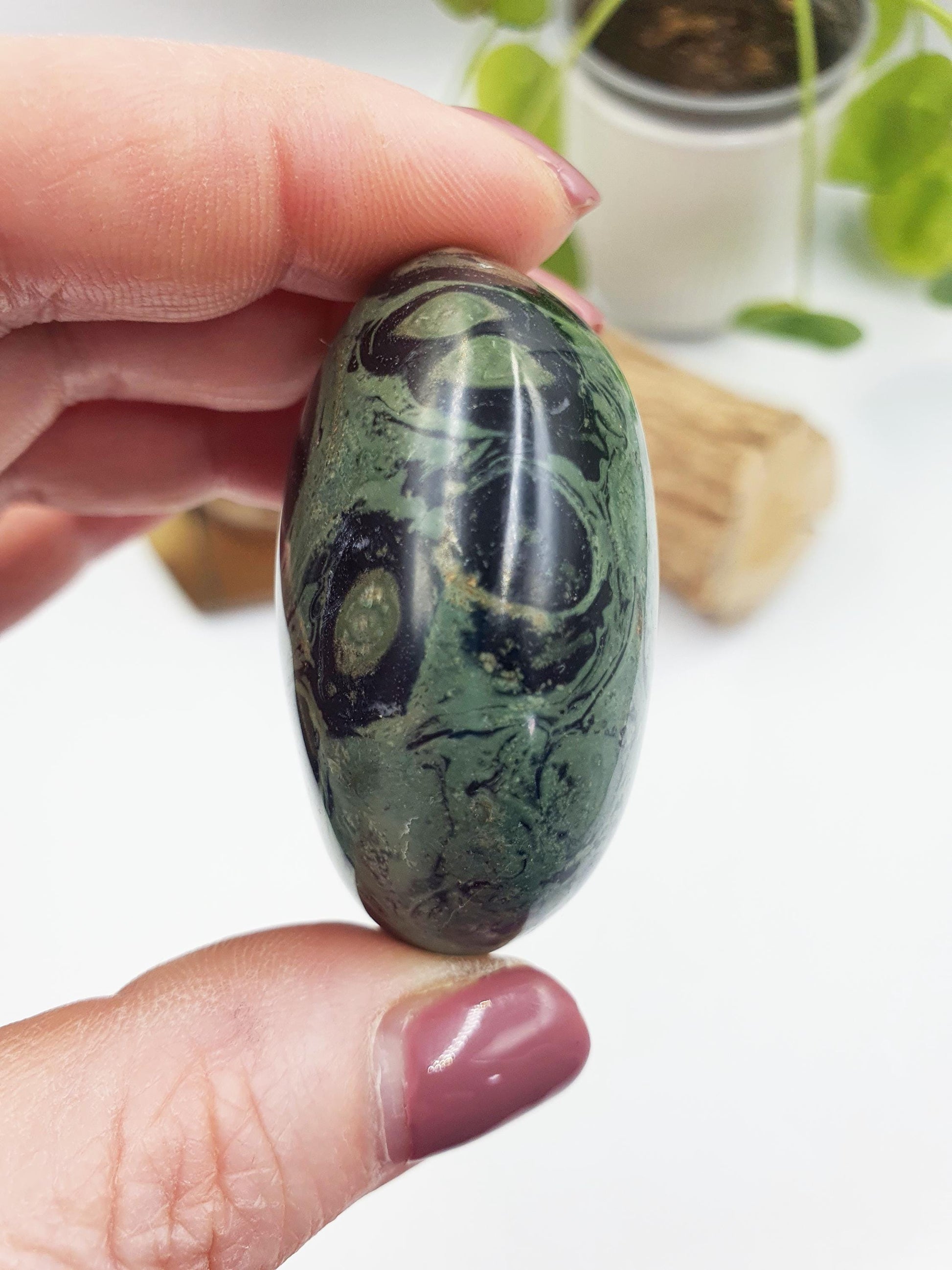 Kambaba Jasper Palm