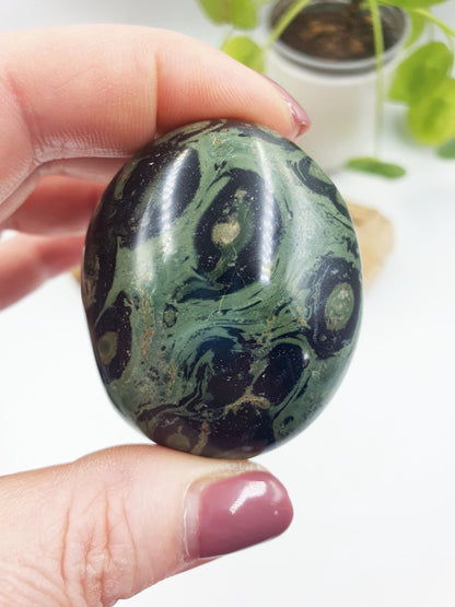 Kambaba Jasper Palm