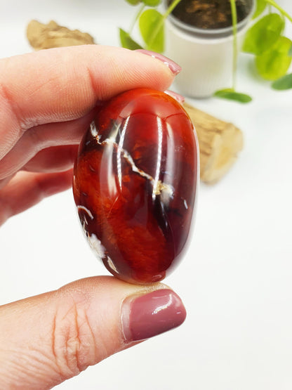 Carnelian Palm