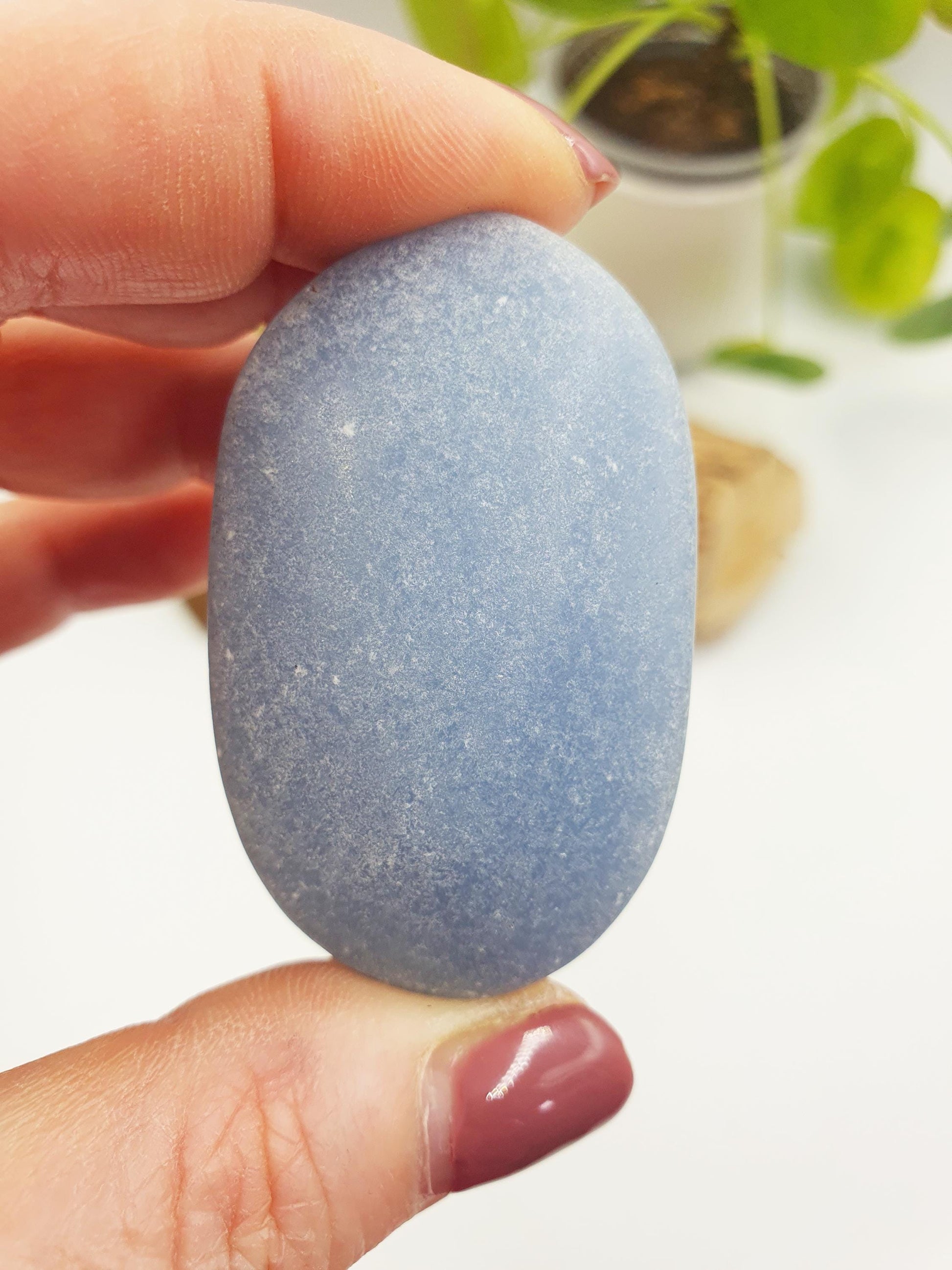 Lovely Angelite Palm