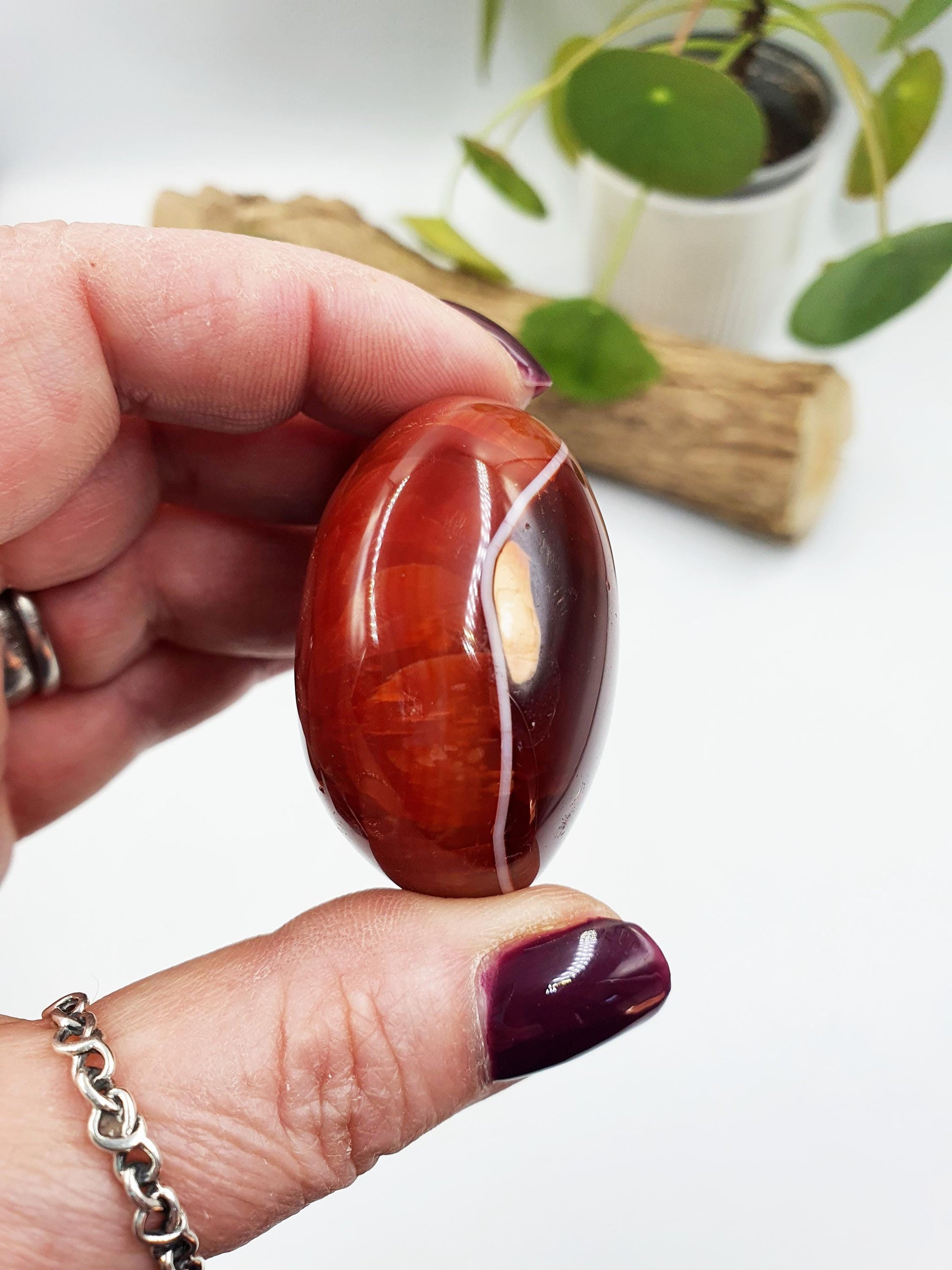 Carnelian Palm