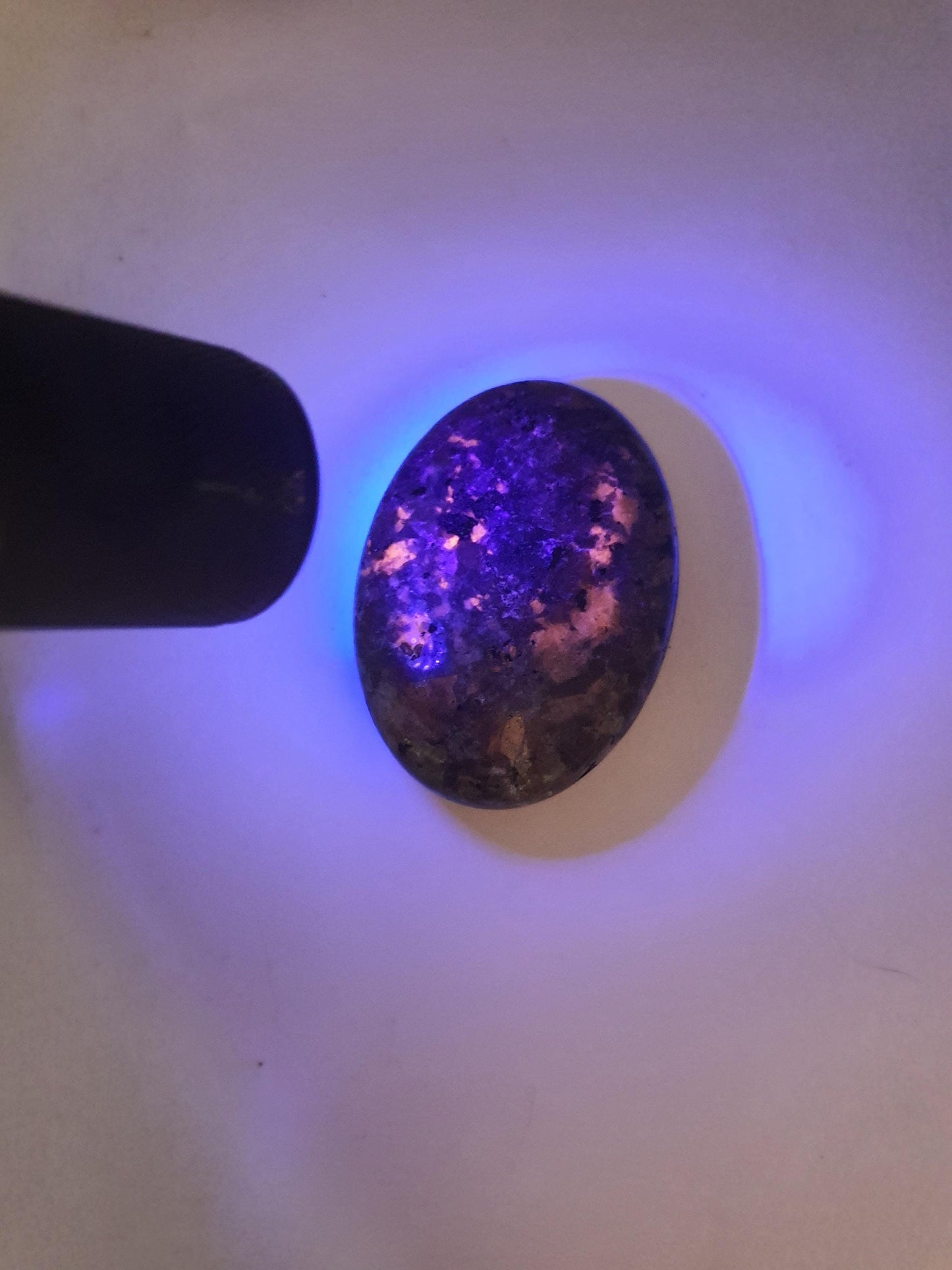 Yooperlite Palm