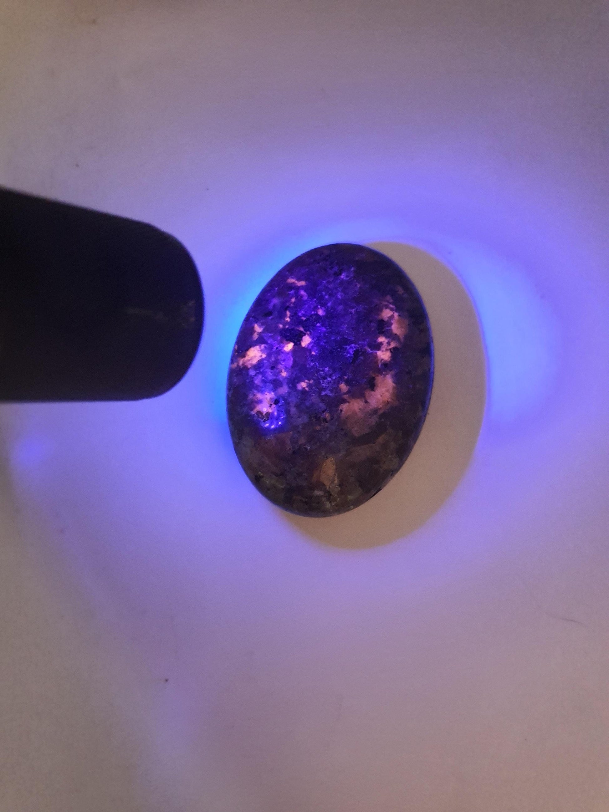 Yooperlite Palm