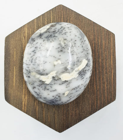 Dendritic Opal Palm