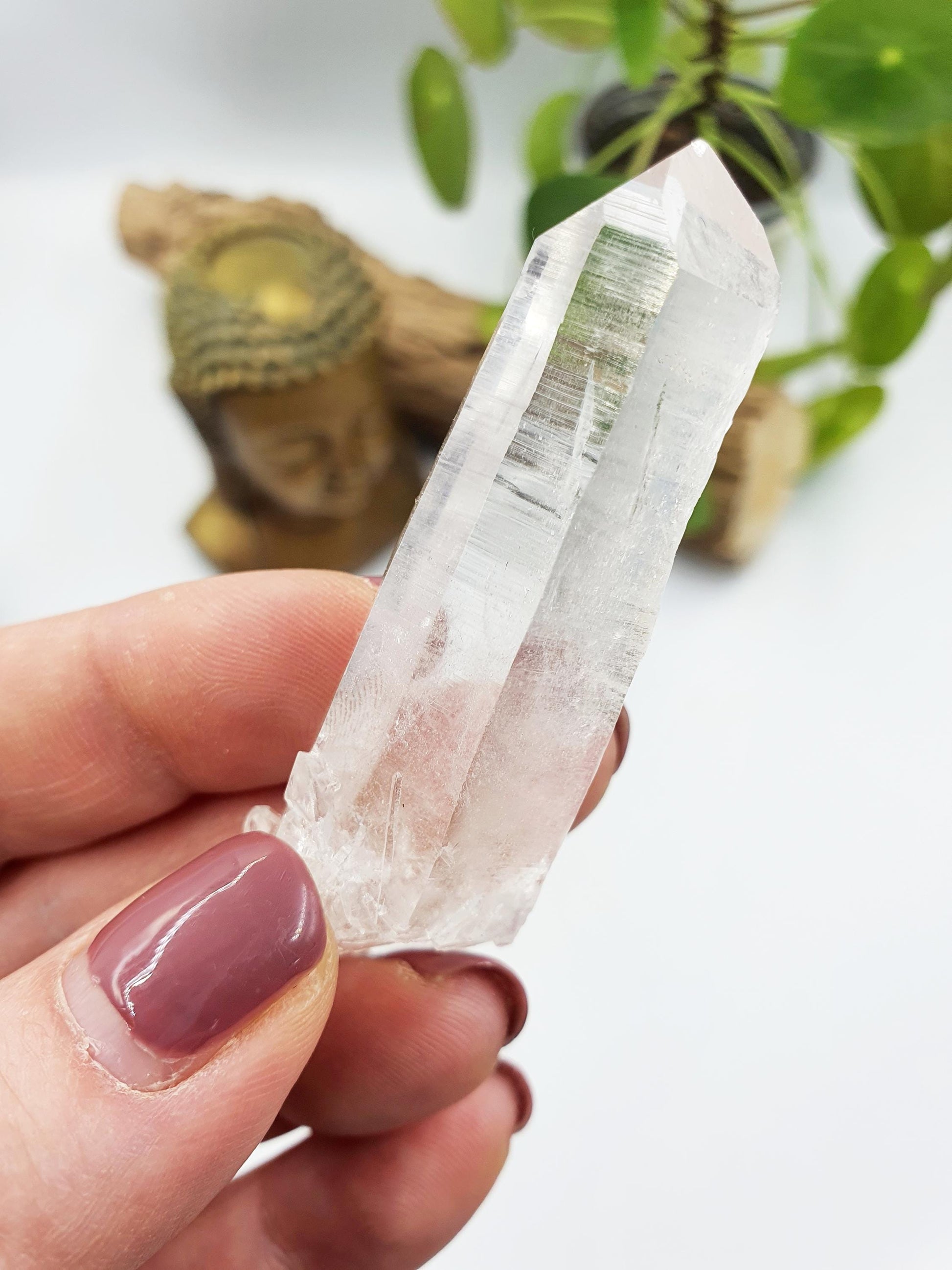 Lemurian Quartz Point