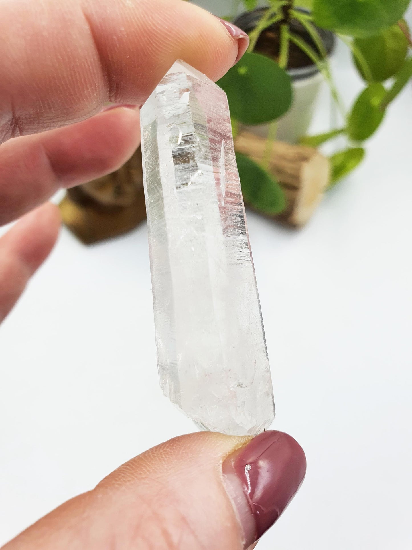 Lemurian Quartz Point
