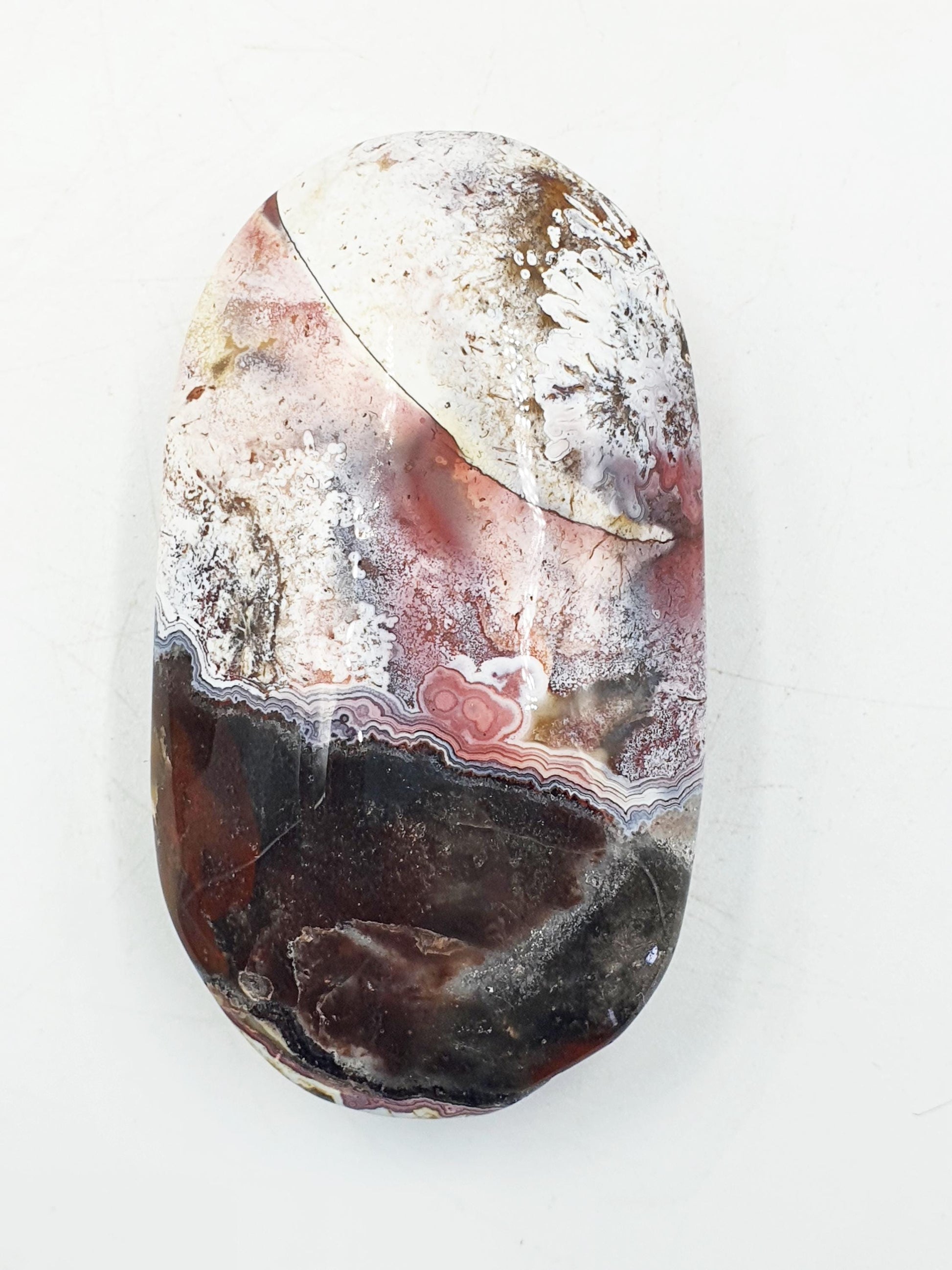 Mexican Crazy Lace Agate Palm