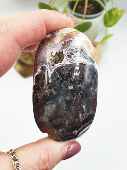 Mexican Crazy Lace Agate Palm