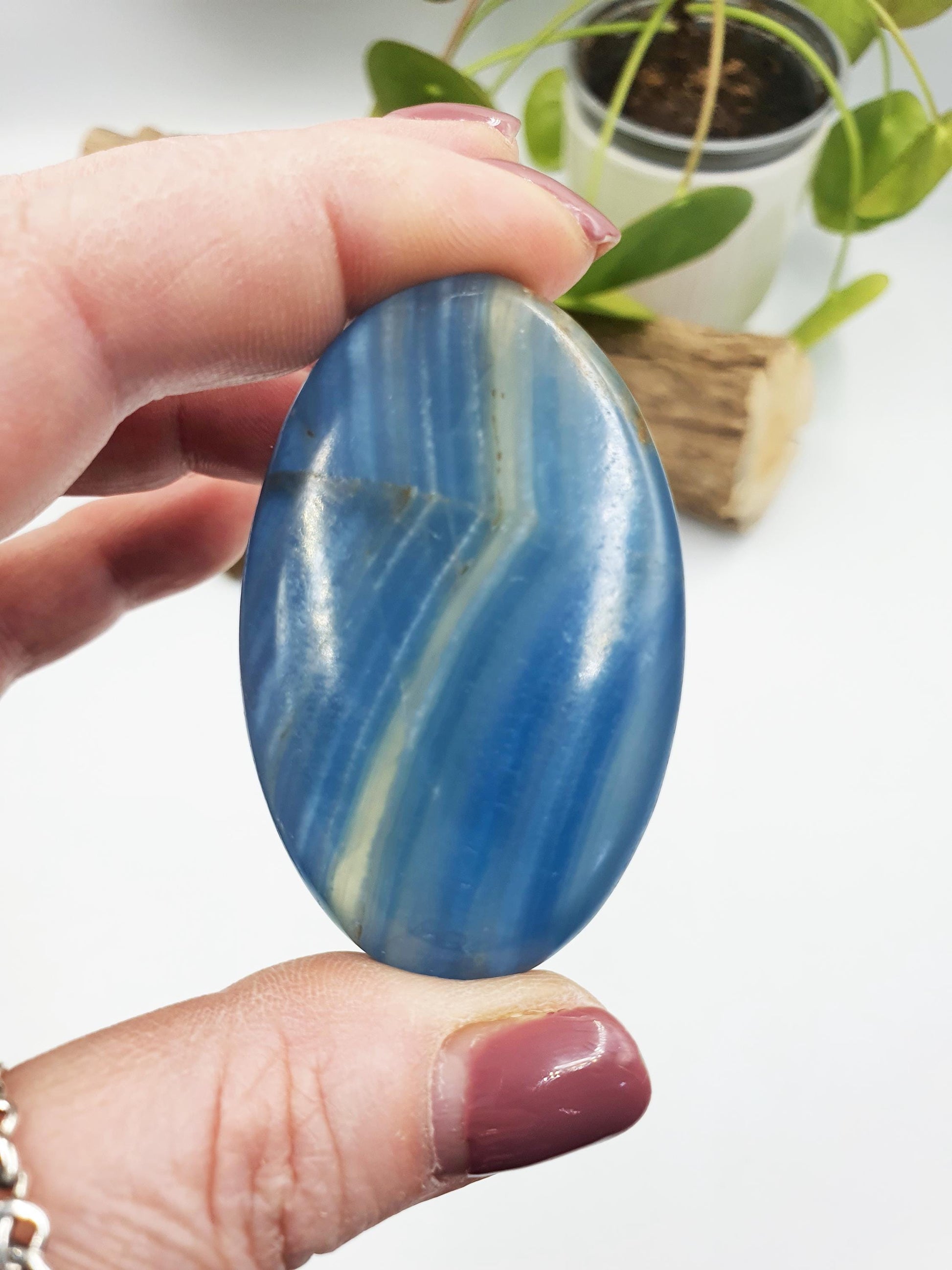 Blue Onyx Palm