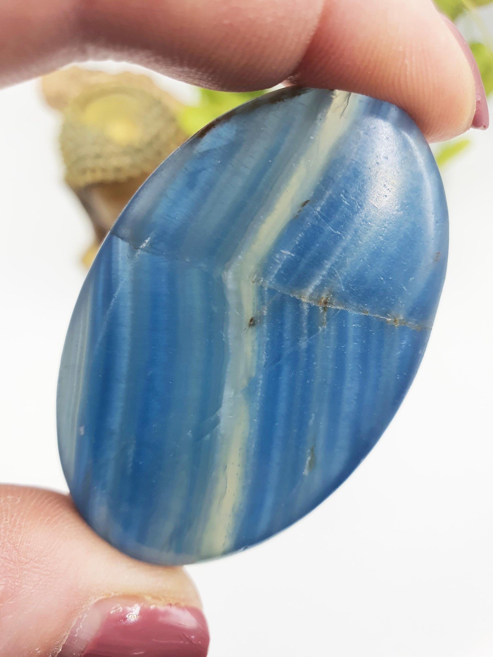 Blue Onyx Palm