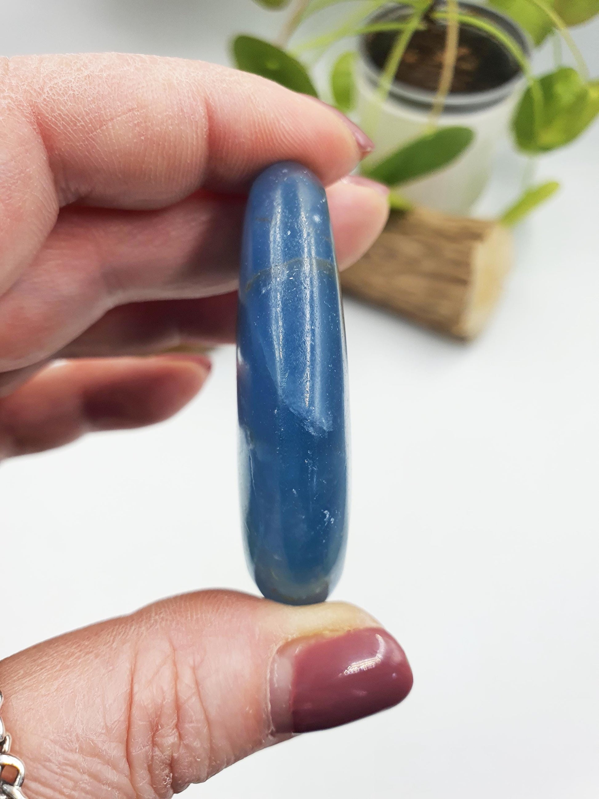 Blue Onyx Palm