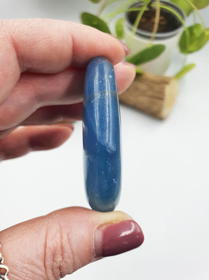 Blue Onyx Palm