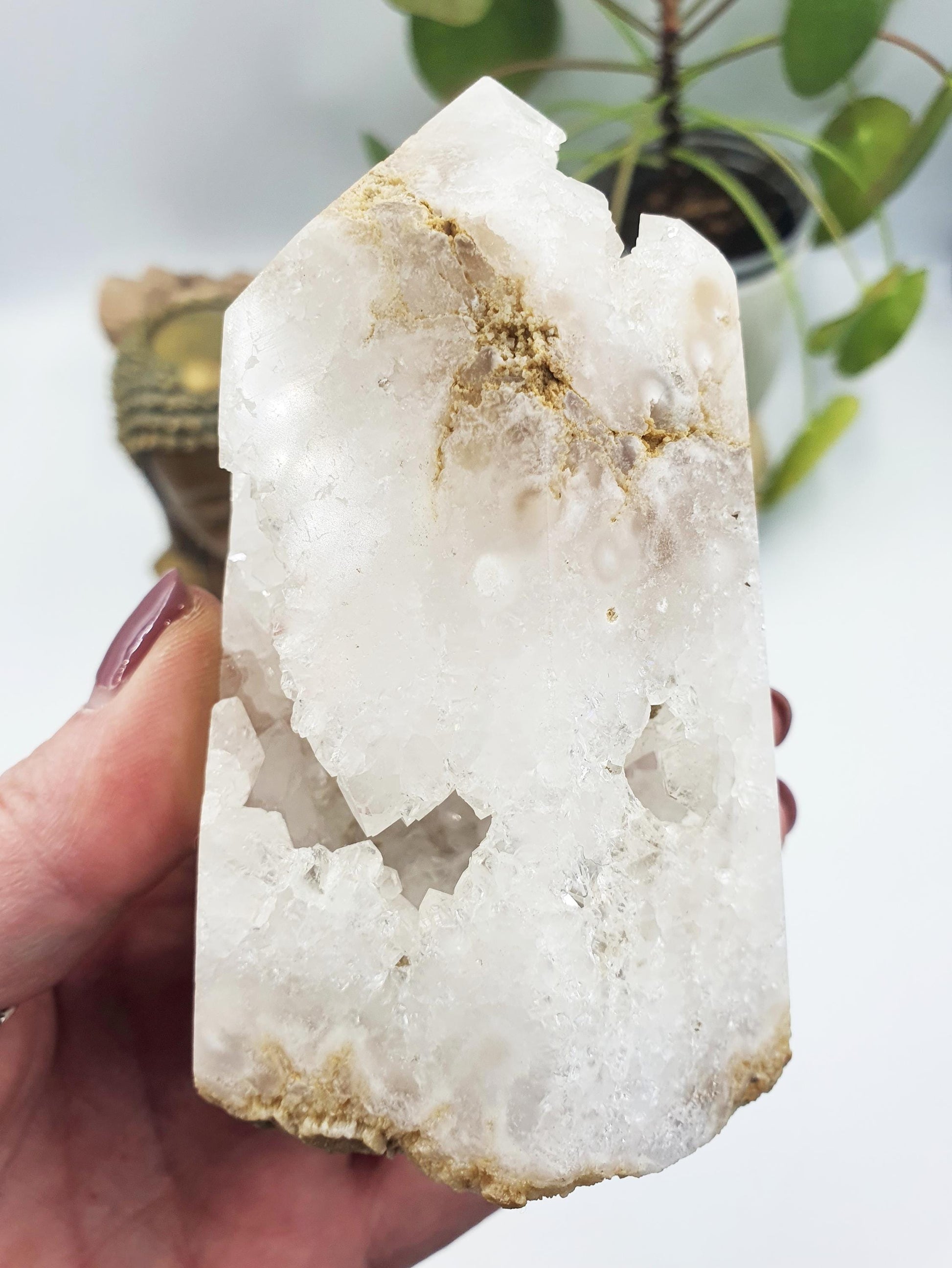 Beauriful Large White Agate Drusy Tower