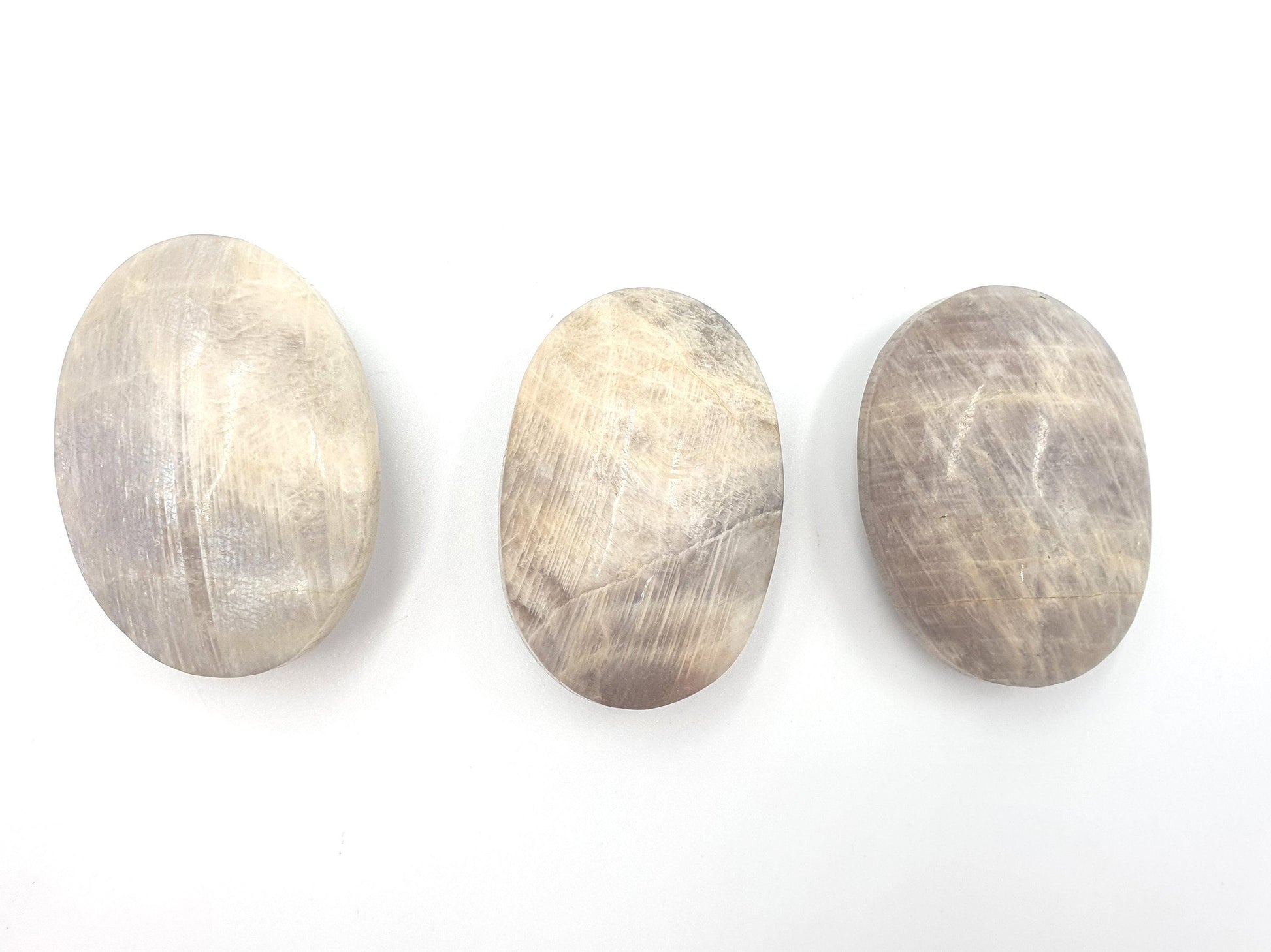 Blue Moonstone Palms