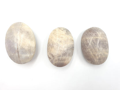 Blue Moonstone Palms