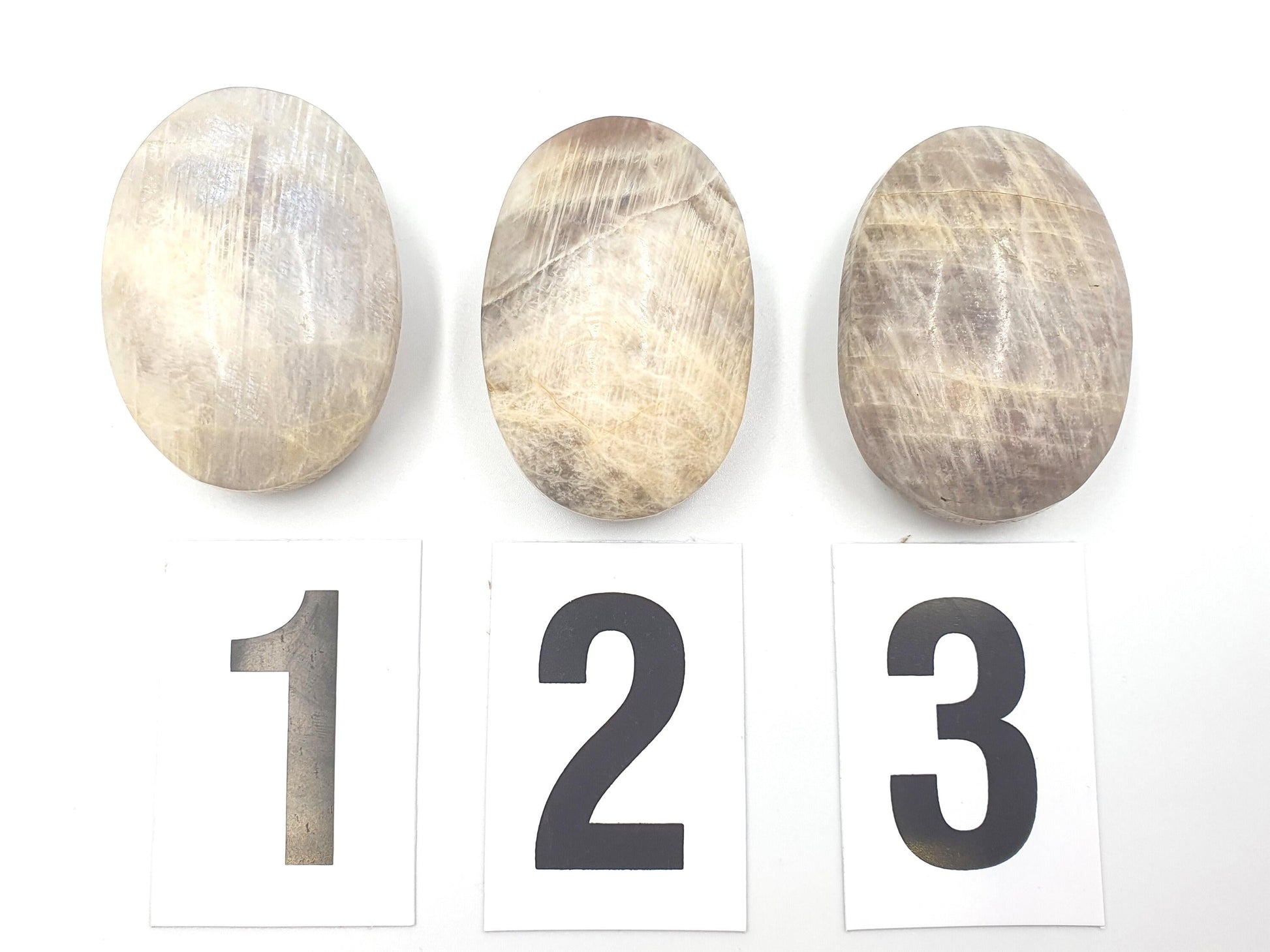 Blue Moonstone Palms