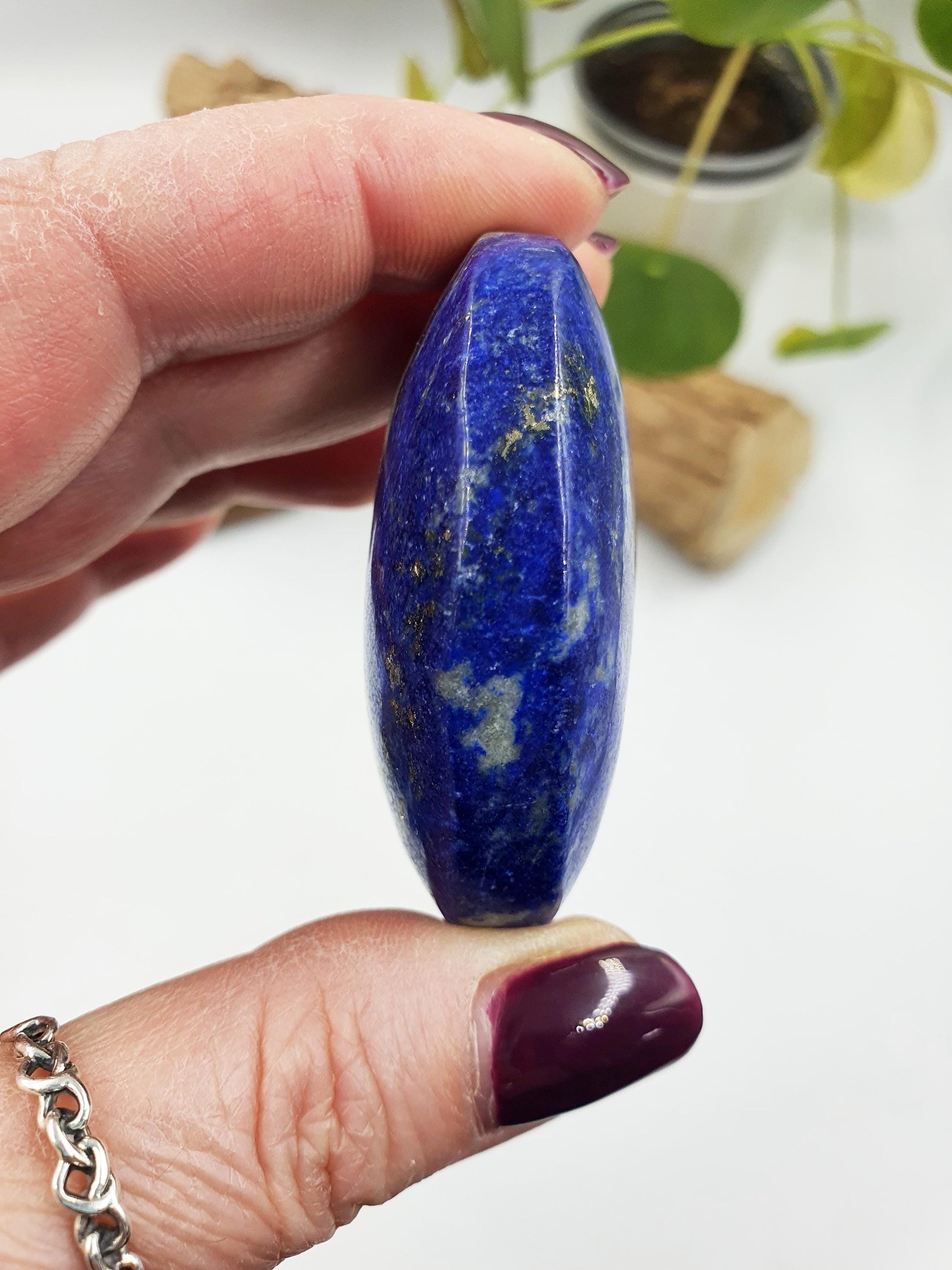 Lapis Lazuli Palm