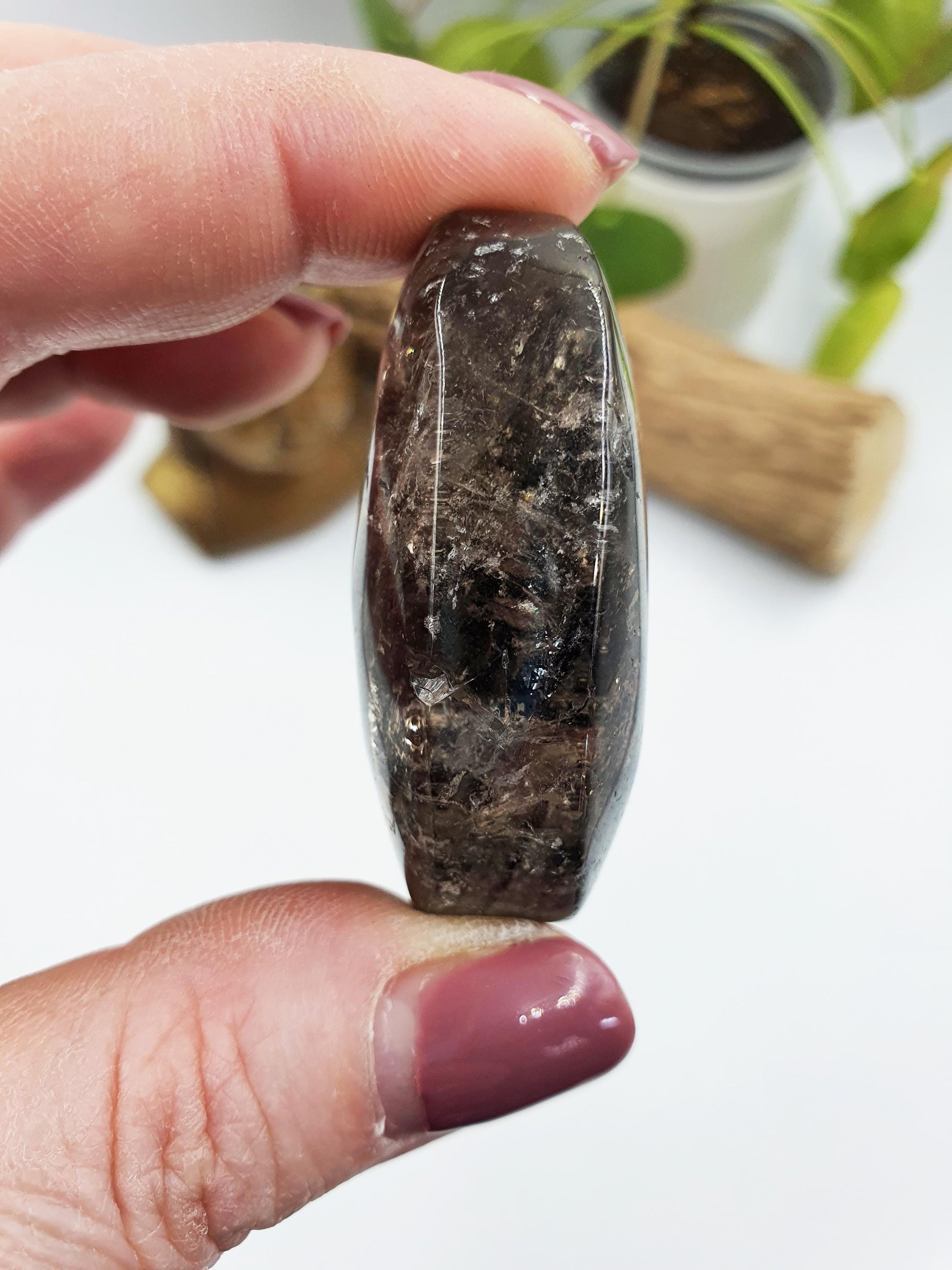 High Grade Sparkly Thousand Layer Palm - Thoudand Layer (Lodolite) Palm Stone