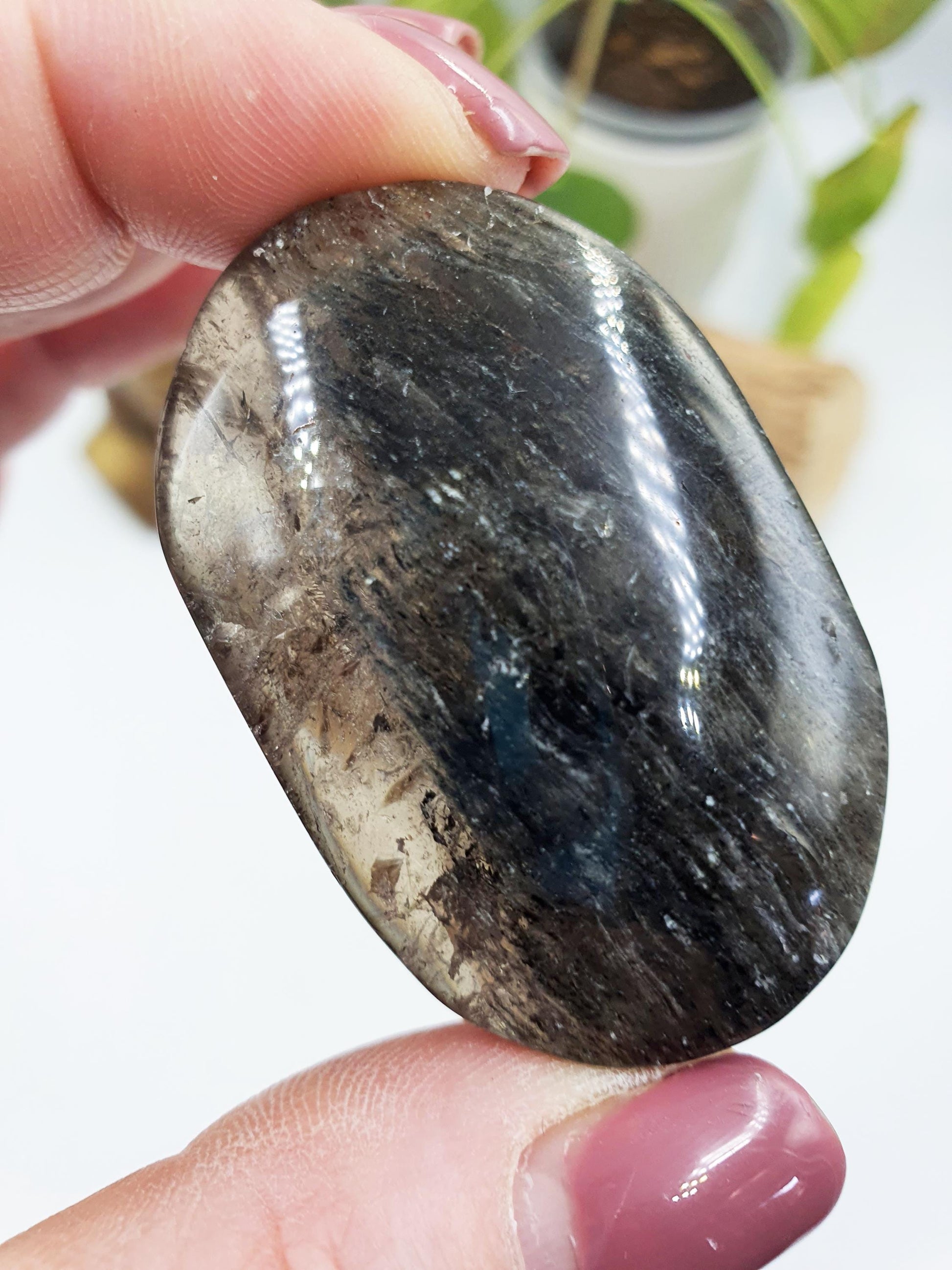 High Grade Sparkly Thousand Layer Palm - Thoudand Layer (Lodolite) Palm Stone