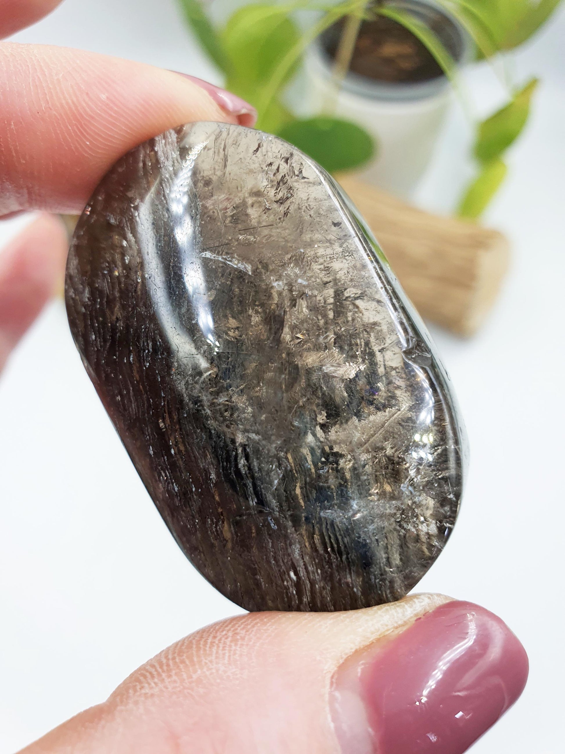 High Grade Sparkly Thousand Layer Palm - Thoudand Layer (Lodolite) Palm Stone