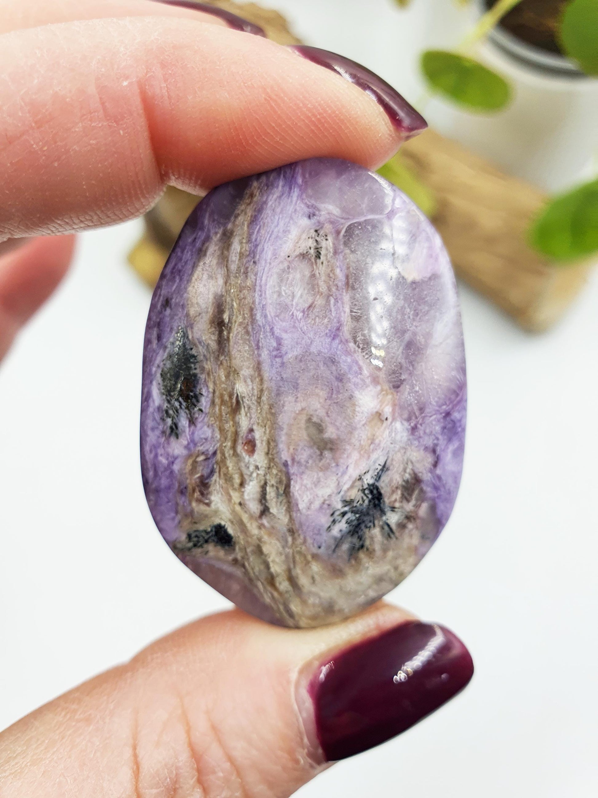 Little Charoite Palm