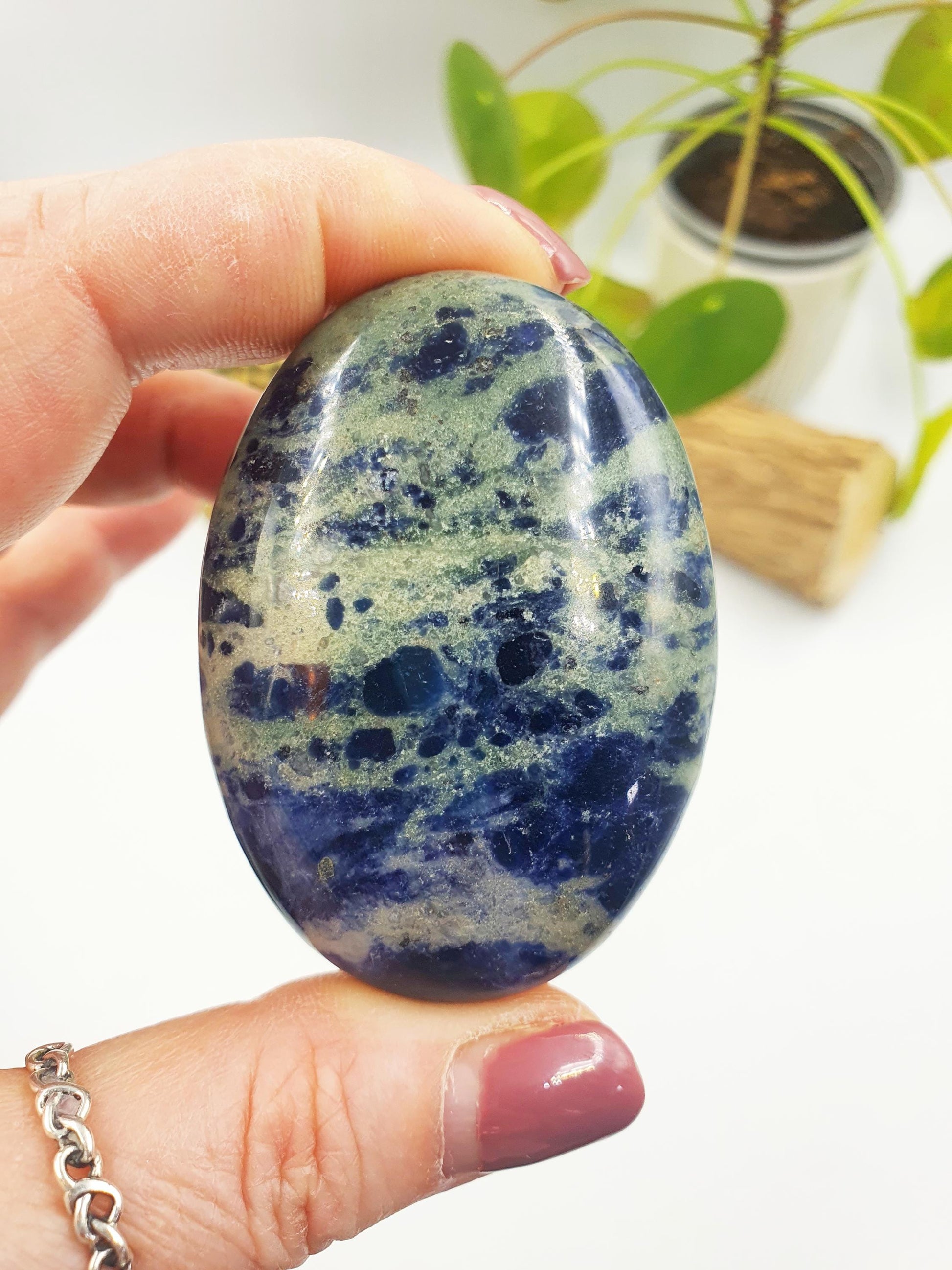 Sodalite Palm