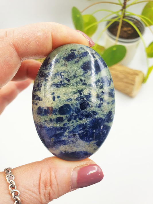 Sodalite Palm